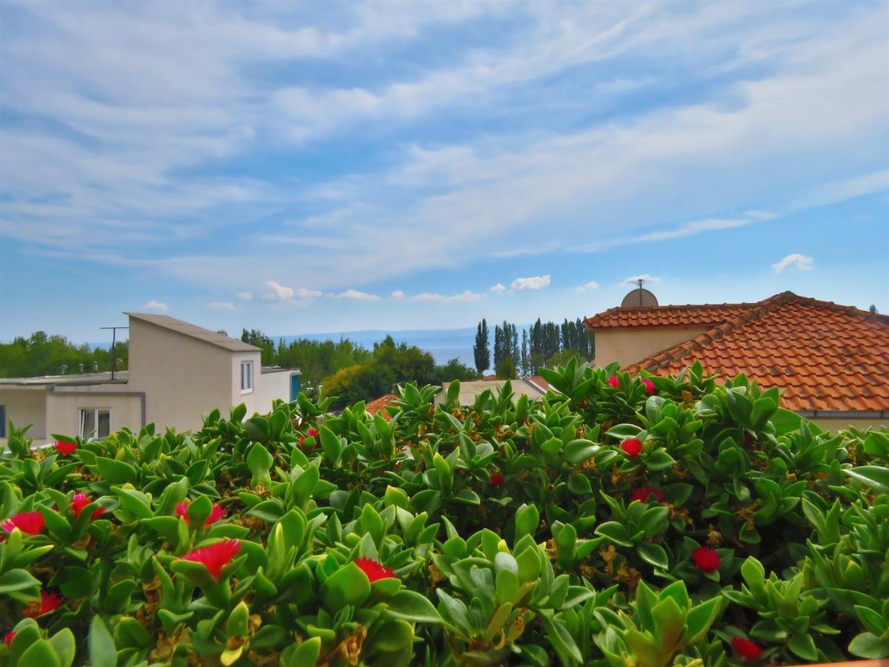 אומיס Apartments Zvone מראה חיצוני תמונה
